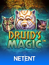 Druid Magic